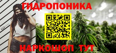 винт Партизанск