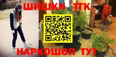 винт Партизанск