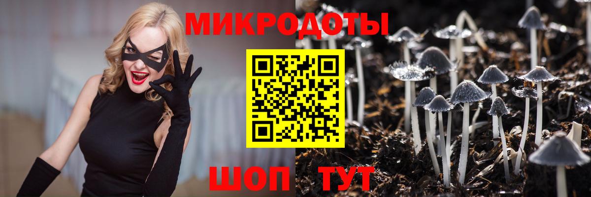 Псилоцибиновые грибы Psilocybine cubensis Серпухов